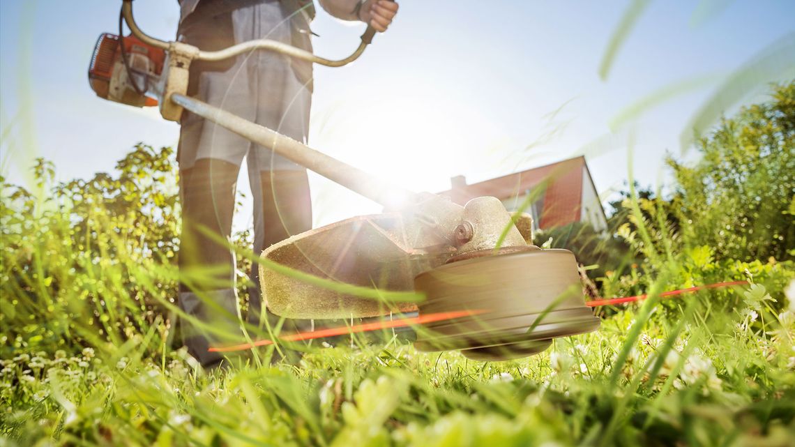 Produkte für die Gartenpflege